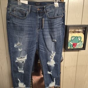NWT Judy Blue Capri 22w